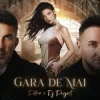 Portada Petra & DJ Project - Gara de mai Petra & DJ Project - Gara de mai