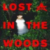 Portada Elderbrook & Adriatique - Lost In The Woods Elderbrook & Adriatique - Lost In The Woods