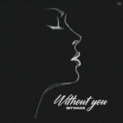 Portada Bitwake - Promises