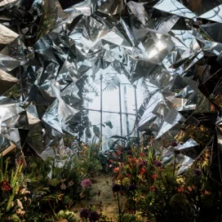 Portada Wilkinson & Mougleta - Eternity