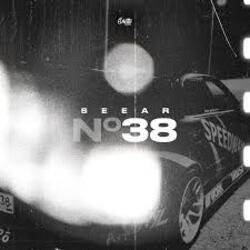 Portada SEEAR - No38