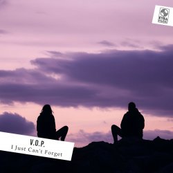 Portada V.O.P. - I Just Can't Forget
