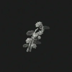 Portada John Michael Howell & JVKE & ZVC - A Thousand Year