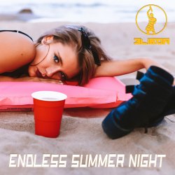 Portada Endless Summer Night