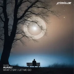 Portada Alkali. - What 2 Say