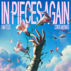 Portada Sam Feldt & Conor Maynard - In Pieces Again