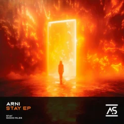 Portada Divinsity - Ashes to Anthem (Hardstyle)