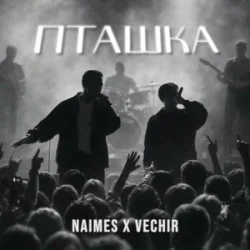 Portada NAIMES & VECHIR - пташка (KARMV REMIX)