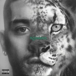 Portada ZAYN - Die For Me