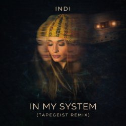 Portada INDI - In My System