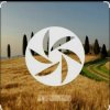 Portada FEWZ - Golden Fields FEWZ - Golden Fields
