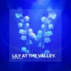 Portada Boris Brejcha - Lily At The Valley Boris Brejcha - Lily At The Valley