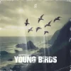 Portada 2 Phaze - Young Birds 2 Phaze - Young Birds