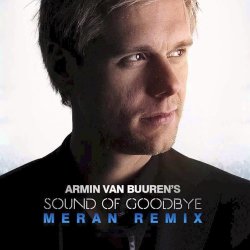 Portada Armin van Buuren - The Sound Of Goodbye (Radio Edit)