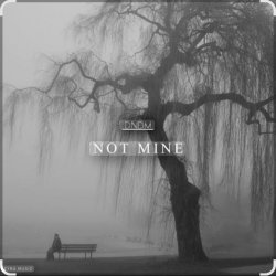 Portada DNDM - Not Mine (Extended)