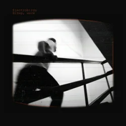 Portada Electrobirds - Вітер, неси