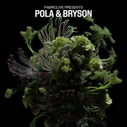 Portada Pola & Bryson - Insomnia (Mixed)