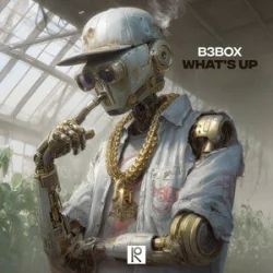 Portada B3BOX - Whats Up