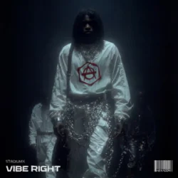 Portada Stadiumx - Vibe Right