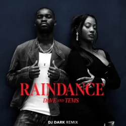 Portada Dave & Tems - Raindance (Dj Dark Remix)