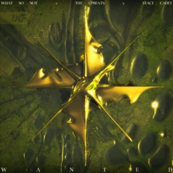 Portada What So Not & The Upbeats - Wanted