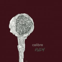 Portada Calibre - Warbling