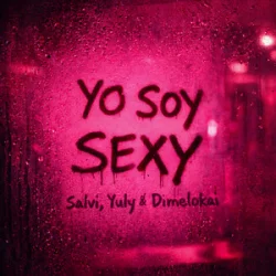 Portada Salvi & Yuly & Dimelokai - Yo Soy Sexy