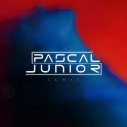 Portada Pascal Junior & Papa Jr. - Ploaia (Remix)