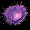 Portada Purple Unit - Human Dust Purple Unit - Human Dust