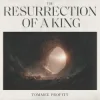 Tommee Profitt & Fleurie - I’ll Fly Away