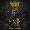 Dollhaver - Spitting Moths