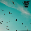 Roberto Pedoto - I Want To Be Free