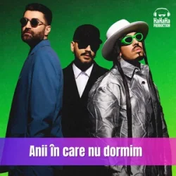 Portada Smiley & Alex Velea & Connect-R. - Anii in care nu dormim (Speak Remix)