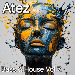 Portada Bass House Vol7.