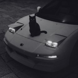 Portada supwel - "not alone" (chill, wave vibe)