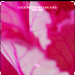 Portada Helsloot & Mees Salome - Solace (Extended Mix)
