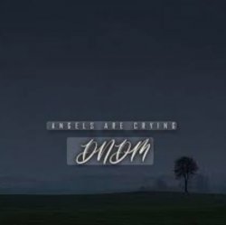 Portada DNDM - Angels Are Crying