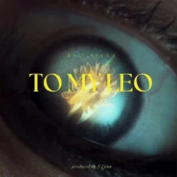Portada Hsu Rinaa - To My Leo (Violex Distortion Remix)