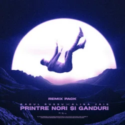 Portada Raoul Russu & Alina Jais - Printre nori si ganduri (Jayraa Remix)