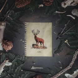 Portada Of The Trees & LYNY - Hollow