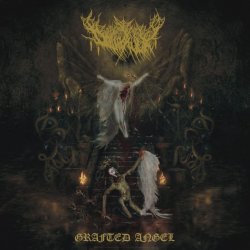 Portada Dollhaver - Spitting Moths
