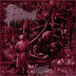 Portada escam - Cranial Cement Injection