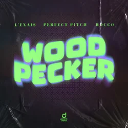 Portada L'EXAIS & Perfect Pitch & Rocco - Woodpecker