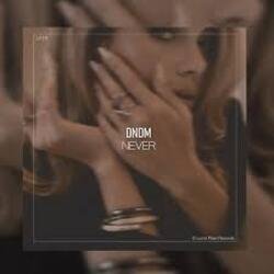 Portada DNDM - Never