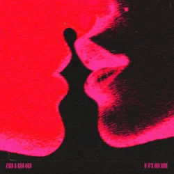 Portada Zerb & Rita Ora - If It’s Not Love