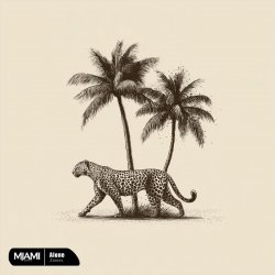 Portada Zmeex - Shadow (Ozzem Remix)