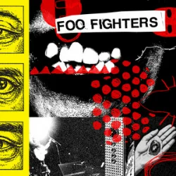Portada Foo Fighters - Window