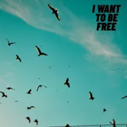 Portada Roberto Pedoto - I Want To Be Free