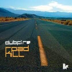 Portada Dubfire - Roadkill (EDX’s Acapulco At Night Remix)