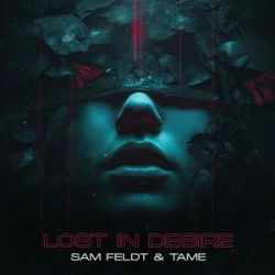 Portada Sam Feldt & TAME - Lost In Desire